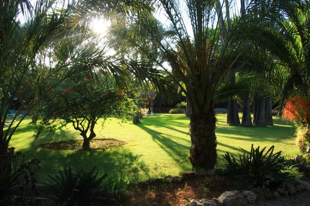 Finca Hotel Predio Son Serra Can Picafort  Exterior photo